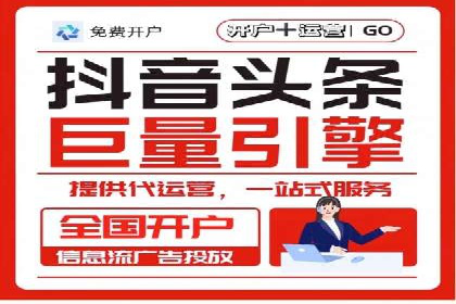 专业SEM运营托管服务案例分析